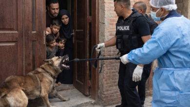 كلب يحاصر أسرة داخل منزلهم بالشرقية والشرطة والطب الوقائي ينقذونهم