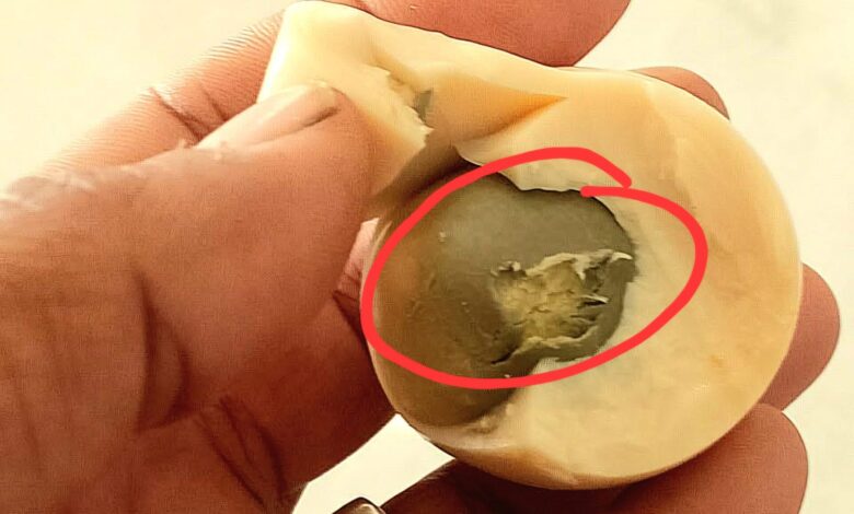 طبيب يوضح حقيقة صفار البيض الرمادي بعد السلق.. هل هو مسرطن أم مجرد تفاعل كيميائي؟