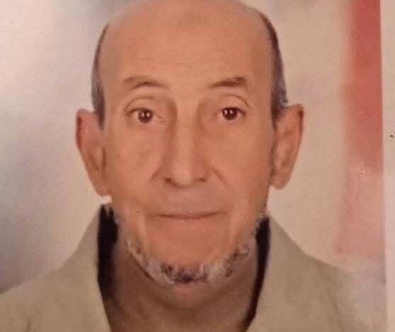 كلاب ضالة تقتل مسنًا في بورسعيد.. مأساة جديدة تكشف غياب الأمان في الشوارع