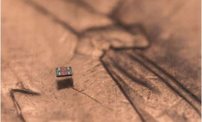 أصغر روبوت في العالم